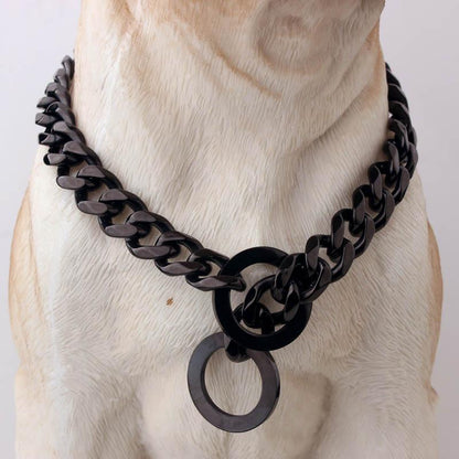 Befez | Wide Rap Style Dog Collar 15mm
