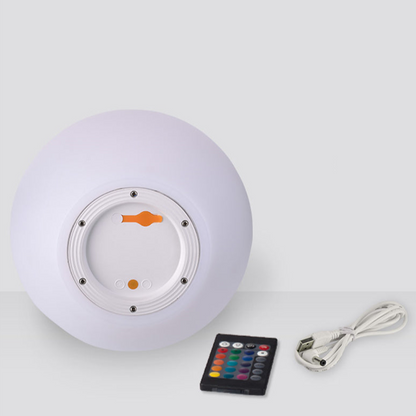Portable LED Desk Lamp