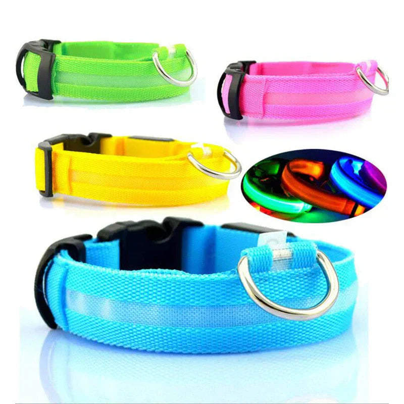 Glowing Pet LED Safety Collar