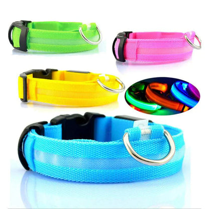 Glowing Pet LED Safety Collar