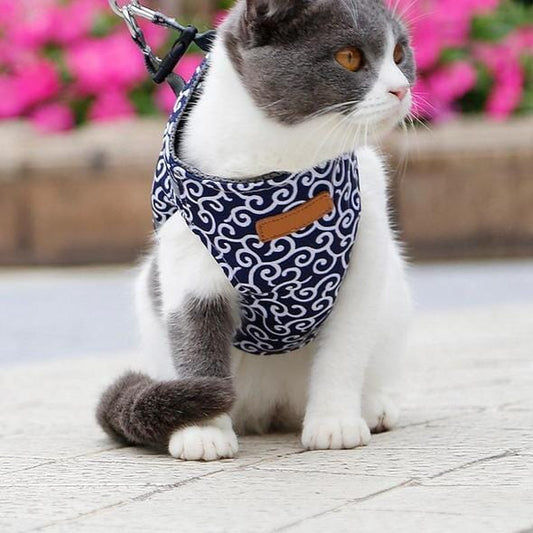 Comfortable Kitty Walking Harness Set - Befez