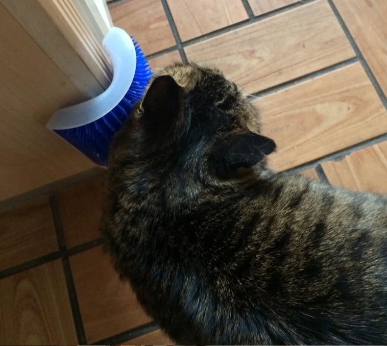 Pet Grooming Cat Hair Brush Tool
