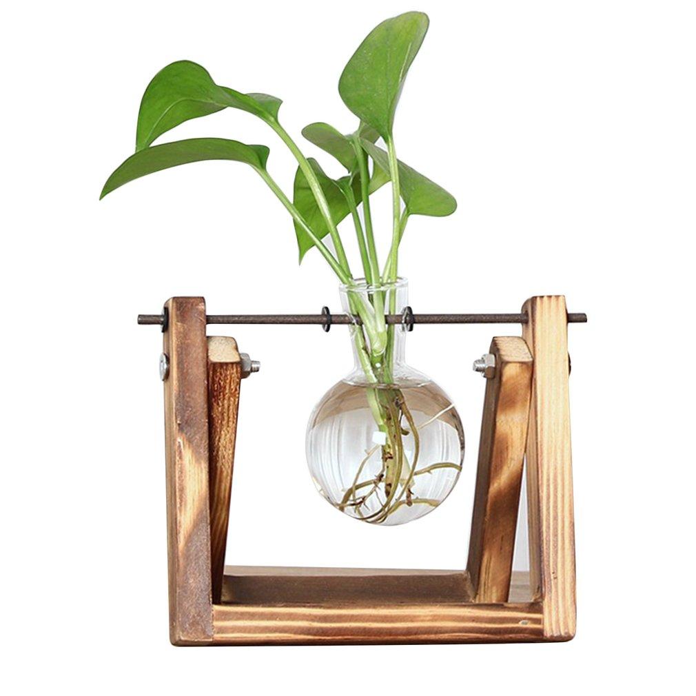 Easy Grow Plant Starter Pots - Befez