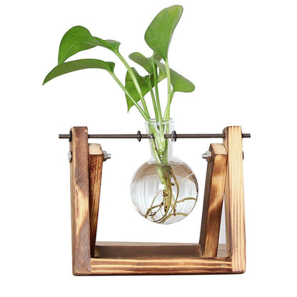 Easy Grow Plant Starter Pots - Befez