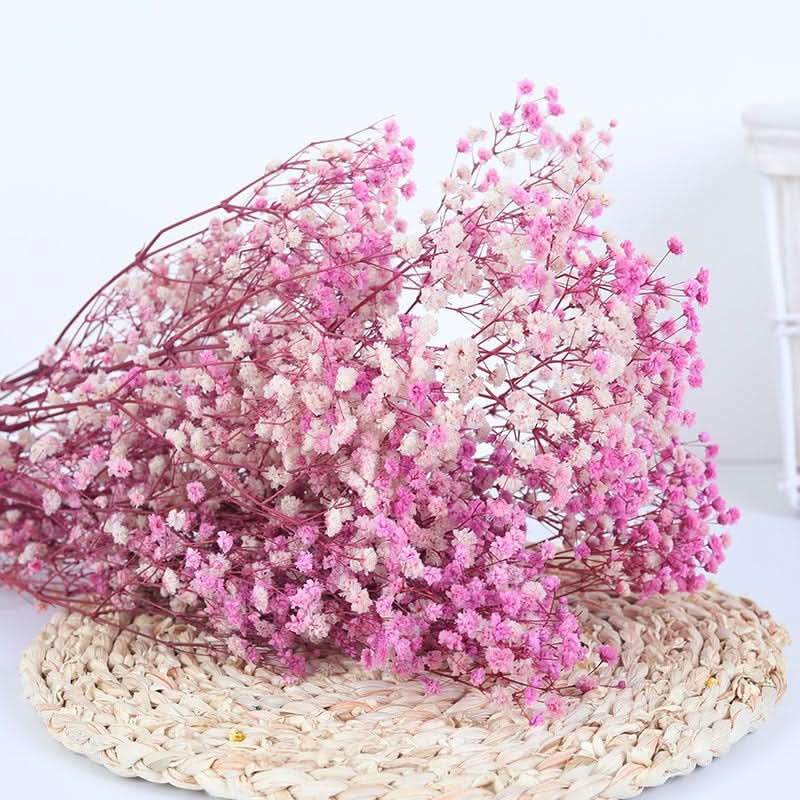 Realistic Air Dried Gypsophila Floral Arrangement
