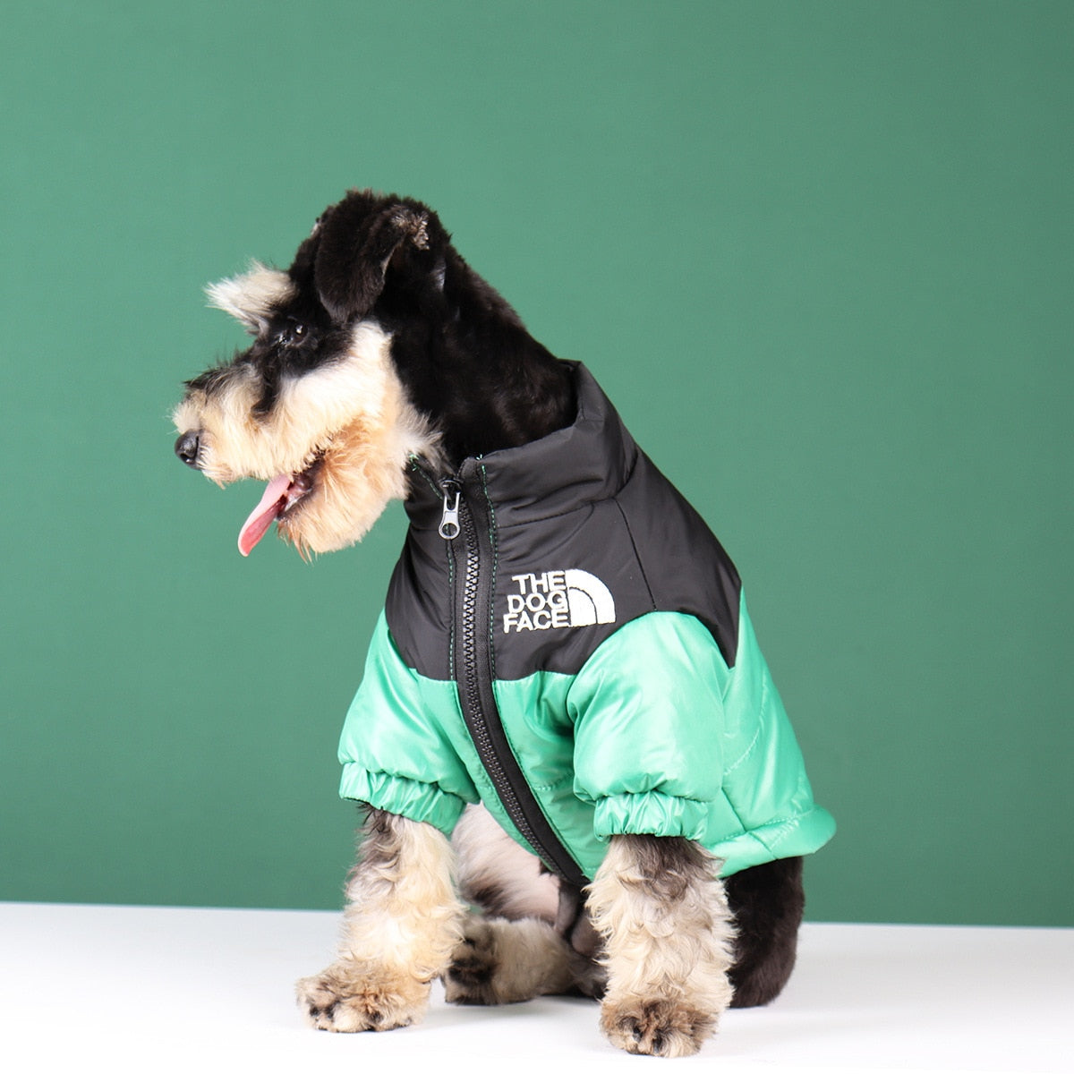 Funny Pet Face Denim Jacket