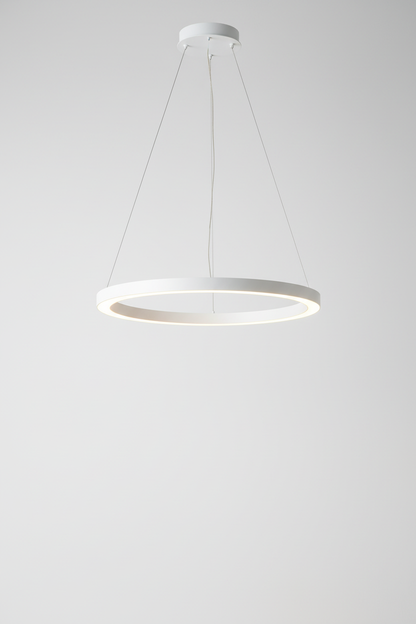 Modern LED Hanging Light
