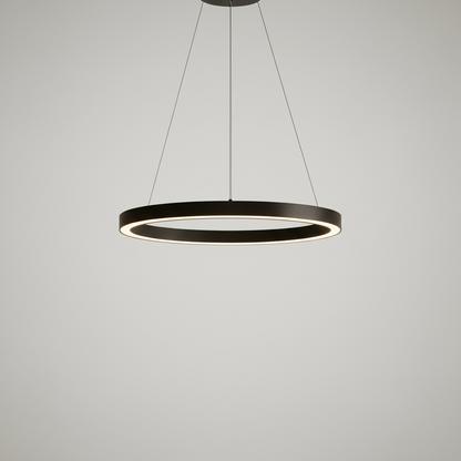 Modern LED Hanging Light