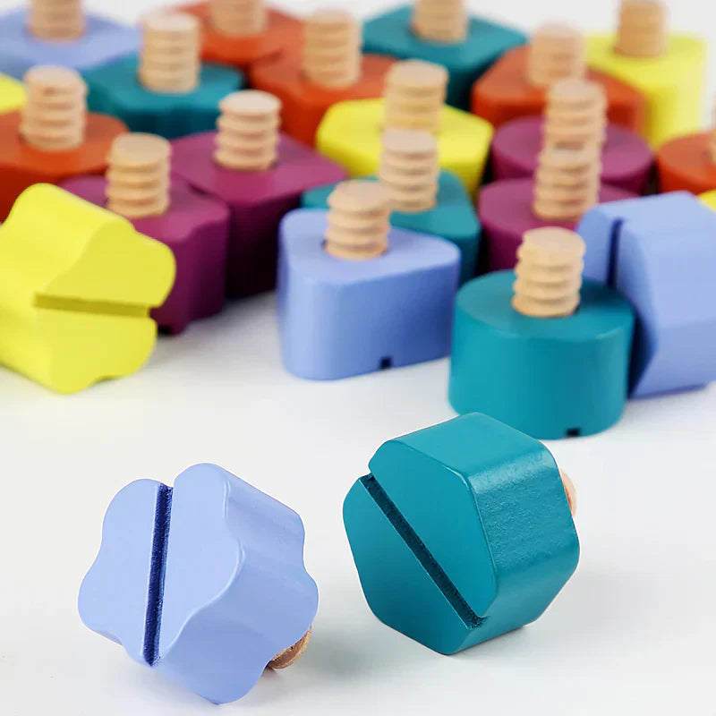Colorful Kids Screw Board Toy