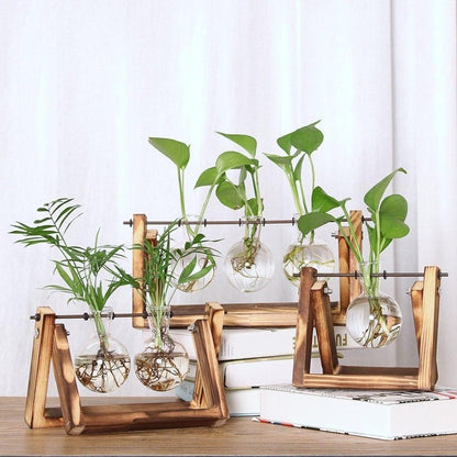 Eco Friendly Garden Pots Set for Plants