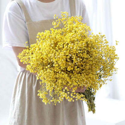 Realistic Air Dried Gypsophila Floral Arrangement
