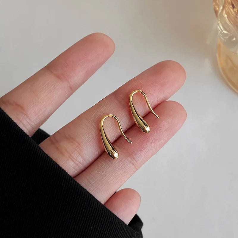 Delicate Sterling Silver Teardrop Earrings - Befez