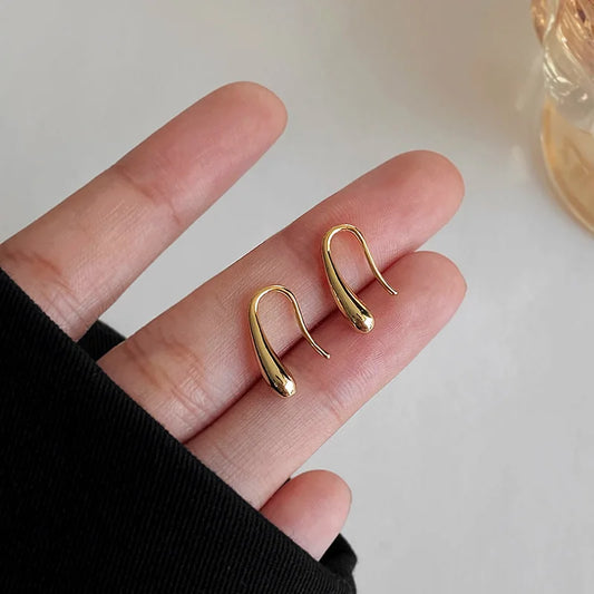 Delicate Sterling Silver Teardrop Earrings - Befez