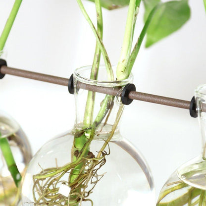 Easy Grow Plant Starter Pots