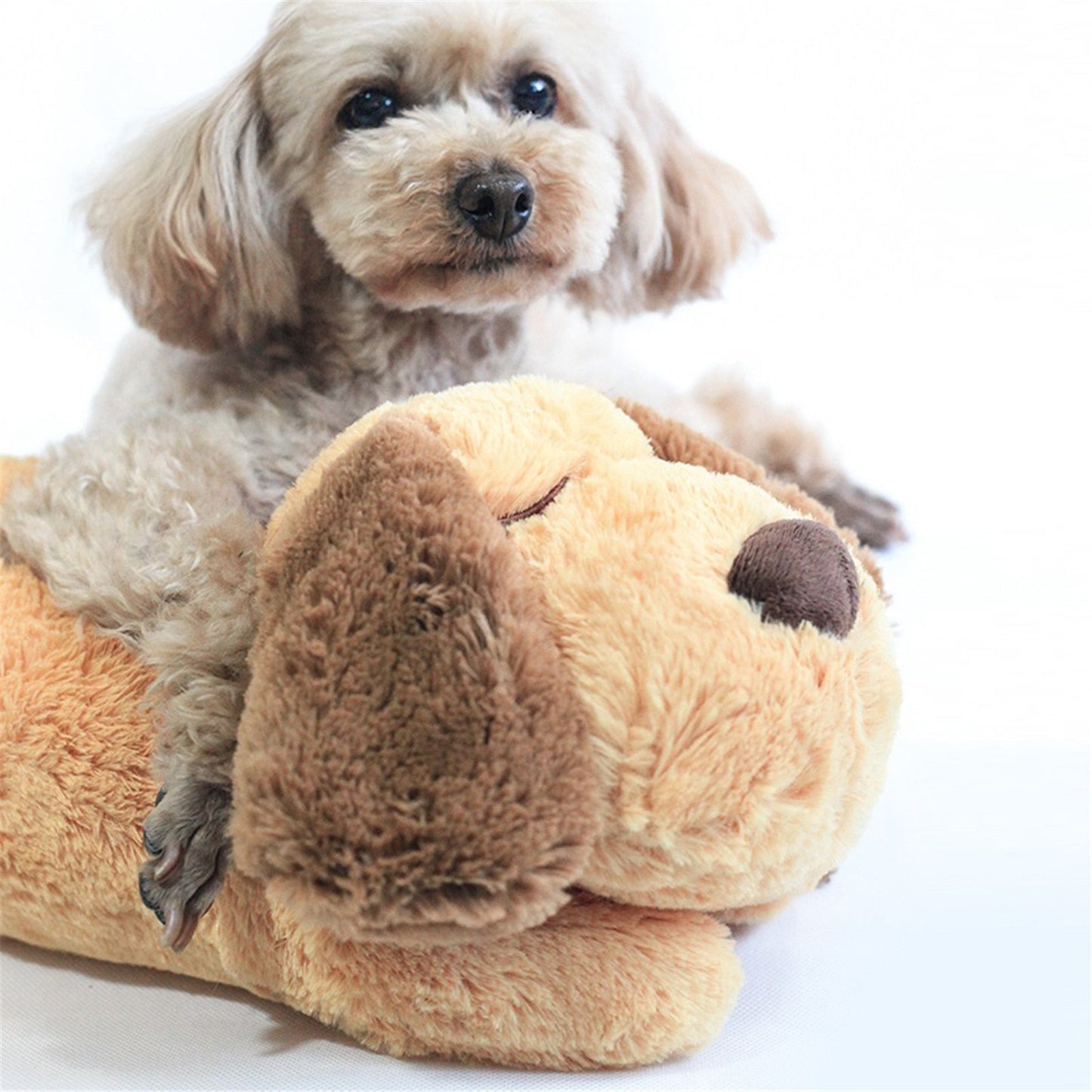 Fun Dog Companion Befez Toy