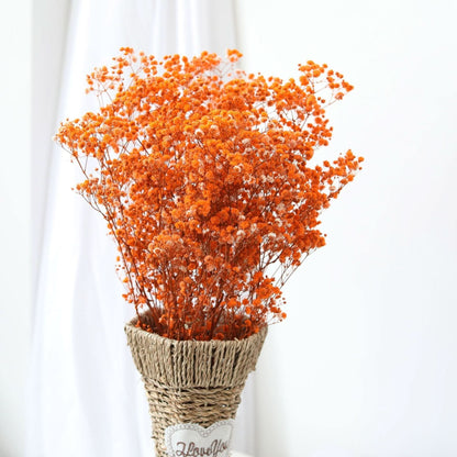Realistic Air Dried Gypsophila Floral Arrangement