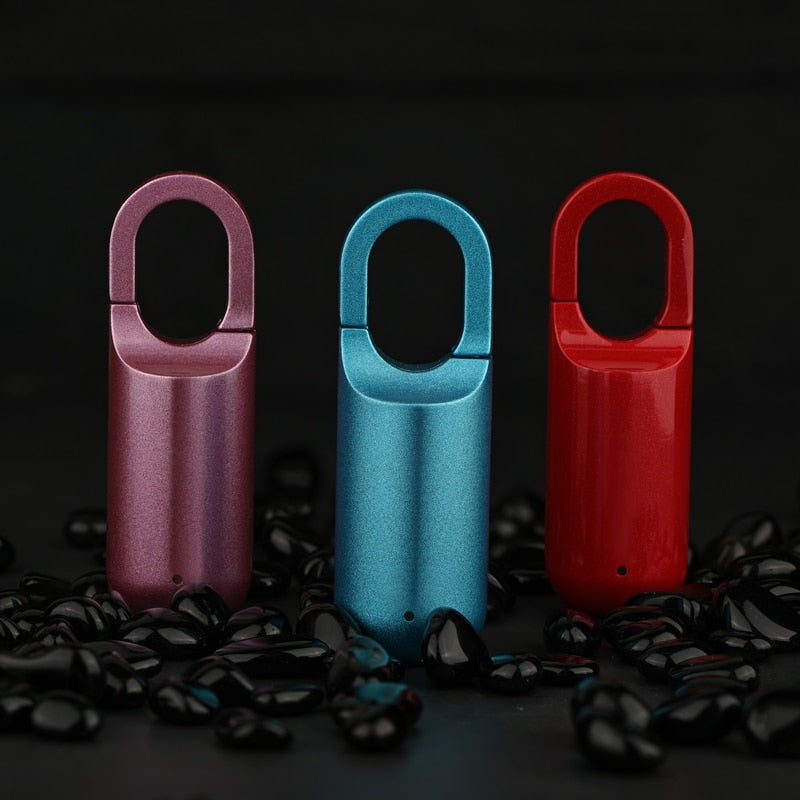 Compact Digital Fingerprint USB Lock Box
