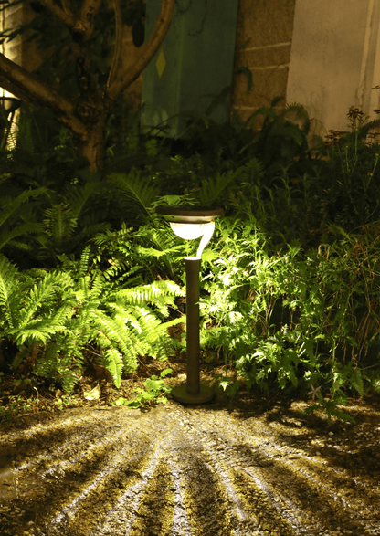 Soft Glow Table Lamp
