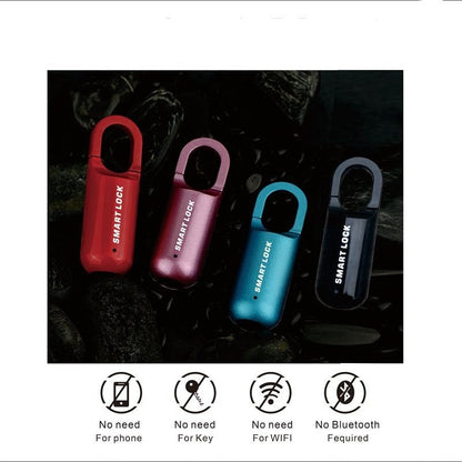 Compact Digital Fingerprint USB Lock Box