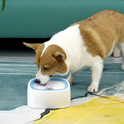 Spill Proof Pet Water Bowl Dispenser