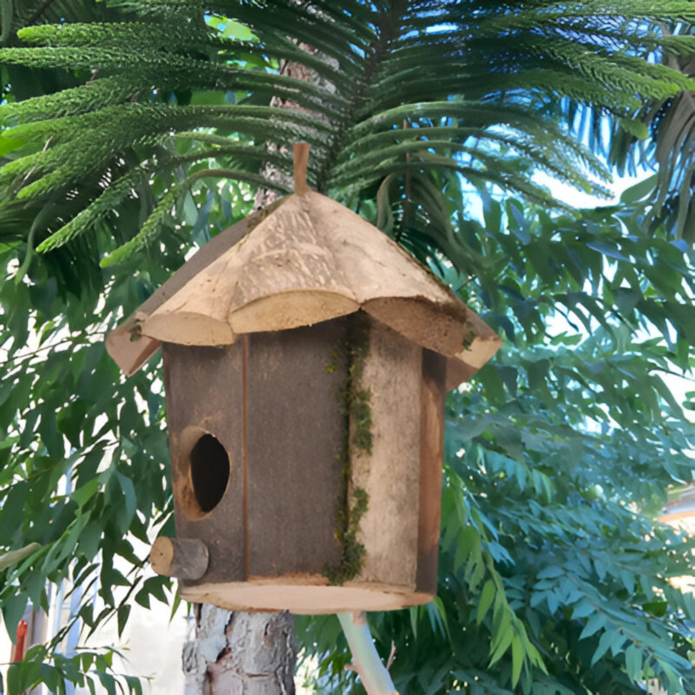 Natural Wood Hanging Bird Feeder House - Befez