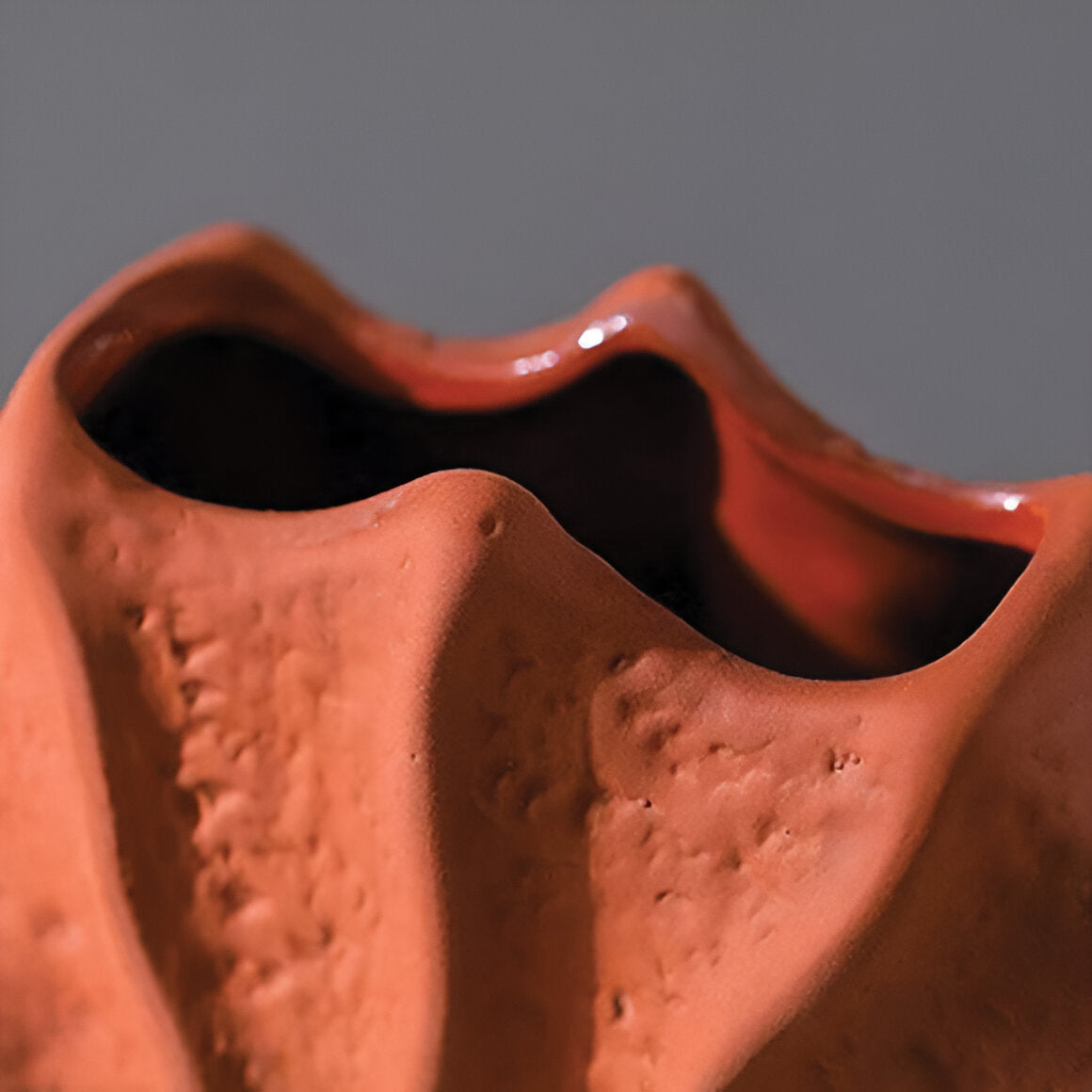 Unique Collapsible Decorative Flower Vase
