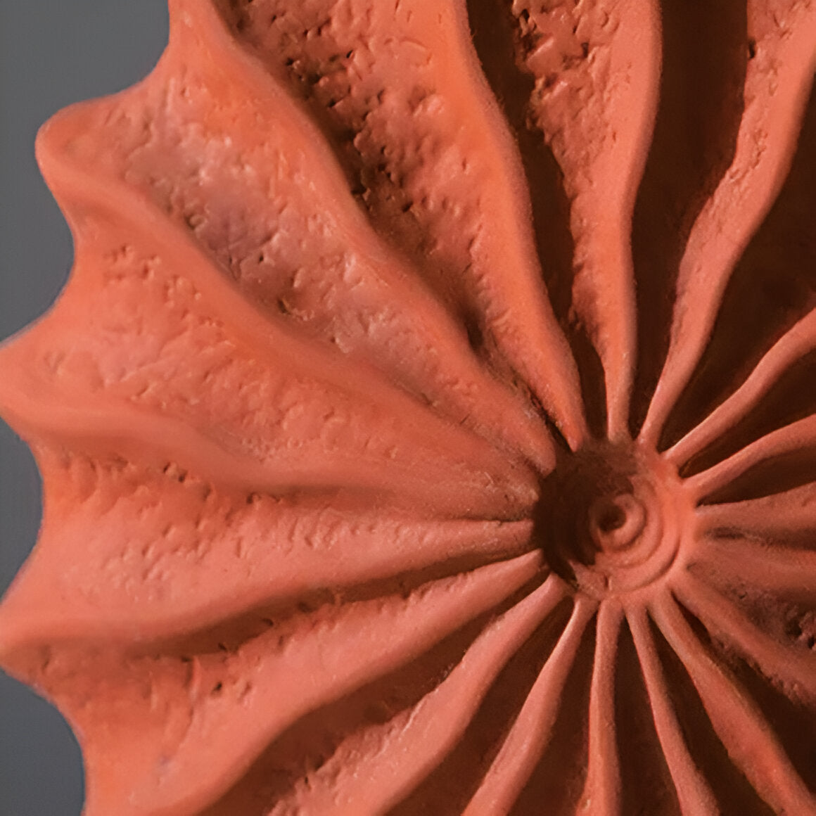Unique Collapsible Decorative Flower Vase