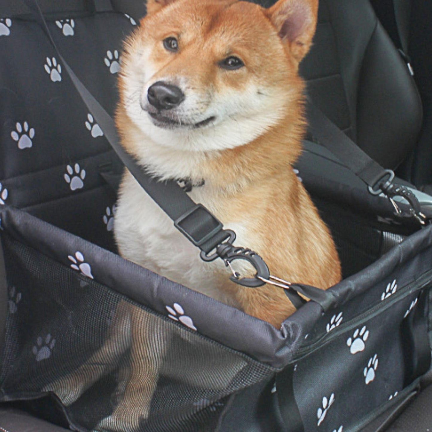 Portable Pet Car Booster Seat - Waterproof and Secure