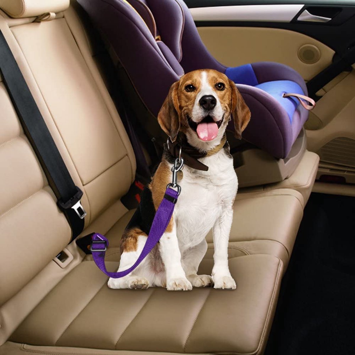 Comfortable Pet Car Harness Seatbelt