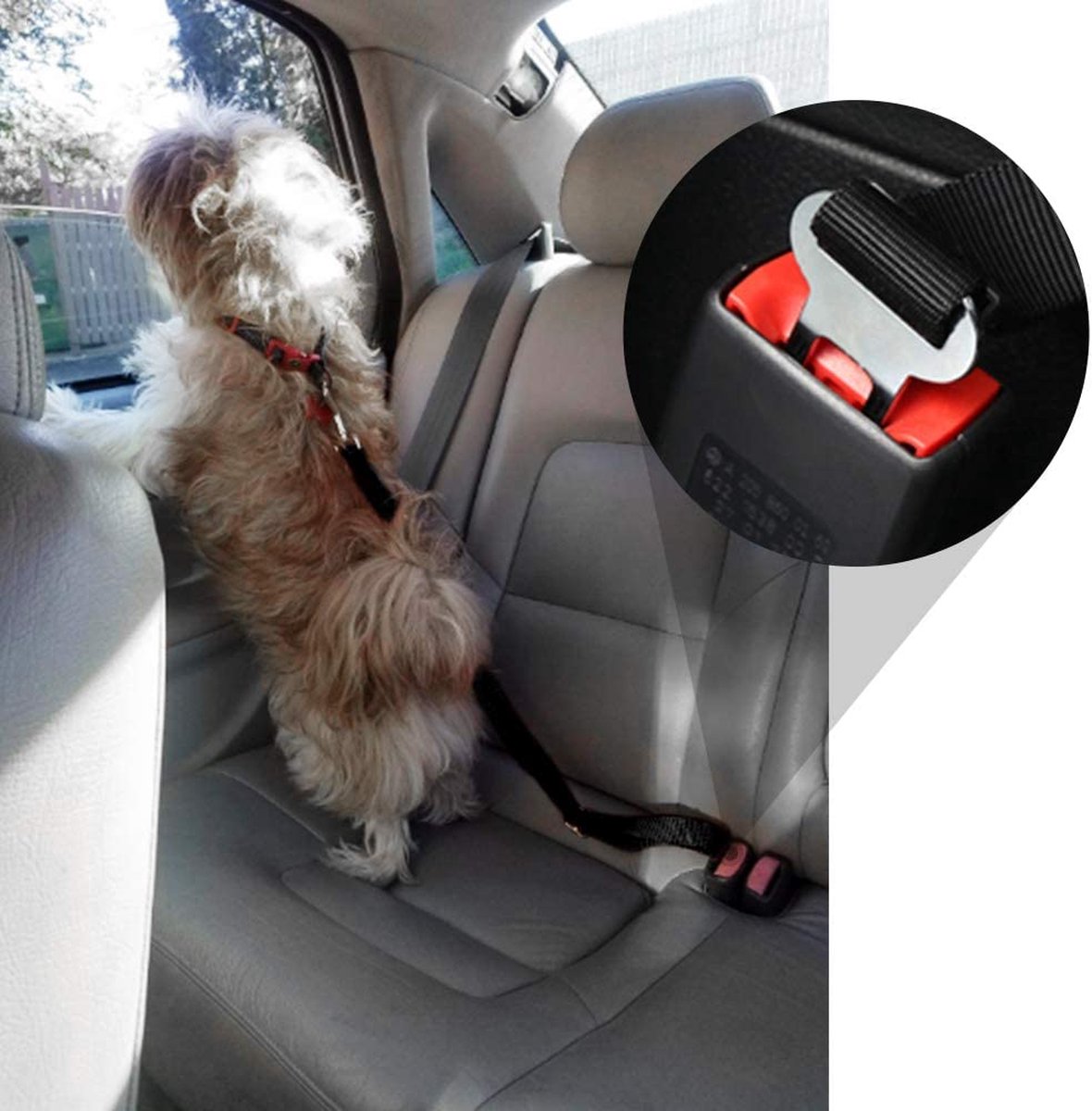 Comfortable Pet Car Harness Seatbelt