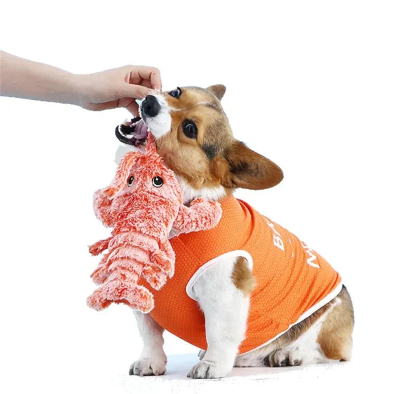 Fun Bouncing Dog Toy Cruncher