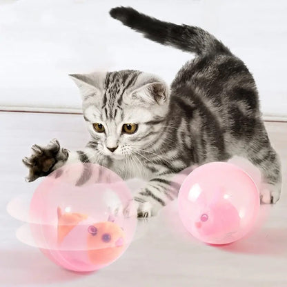 Fun Pet Exercise Ball Toy - Befez