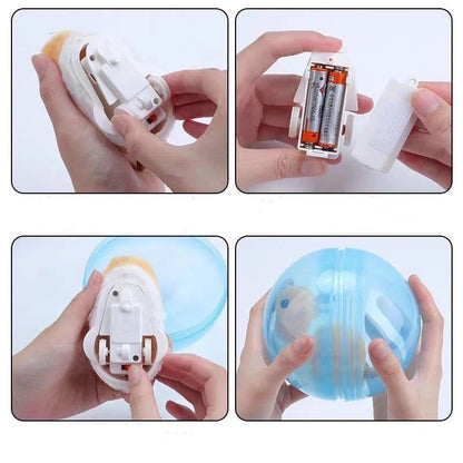 Fun Pet Exercise Ball Toy