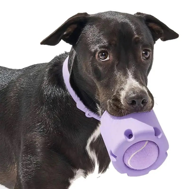Tough Outdoor Tennis Ball Hopper - Befez