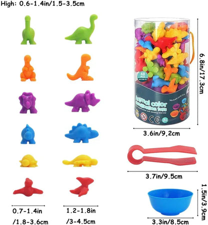 Educational Color Sorting Toy