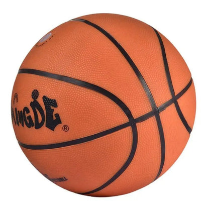 Pro Indoor LED Basketball Hoop