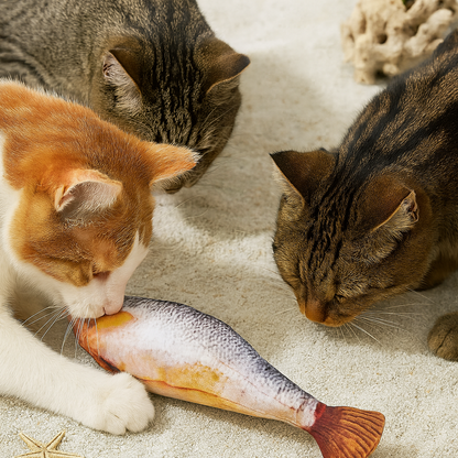 Fun Colorful Fish Shaped Cat Toy