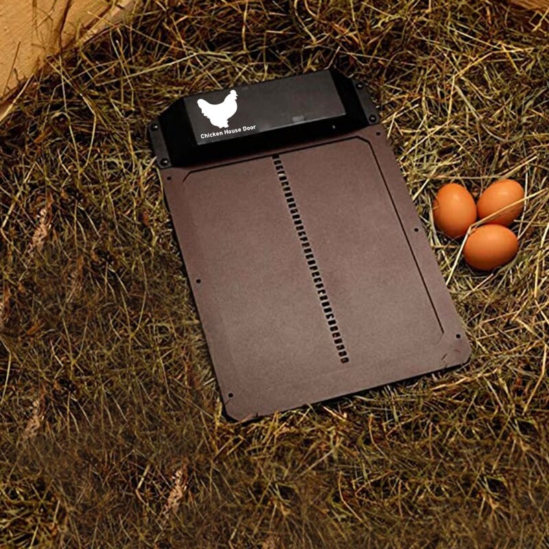 Easy Auto Chicken Coop Door With Light Sensor - Befez