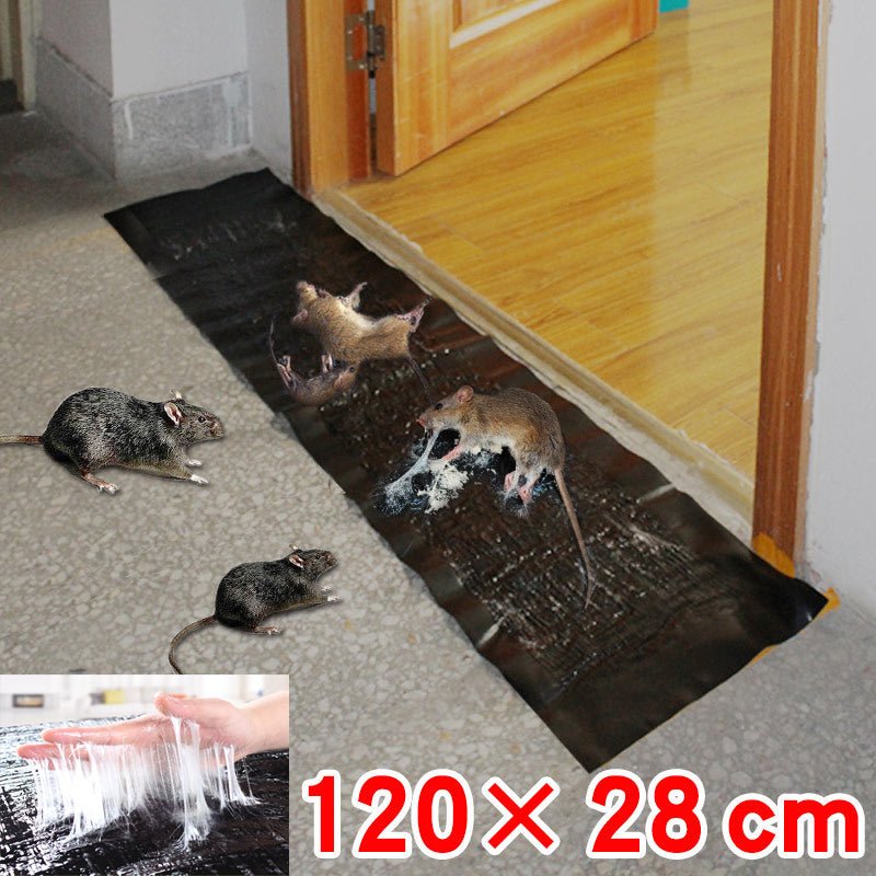 Humane Mouse Trap for Home Pest Control