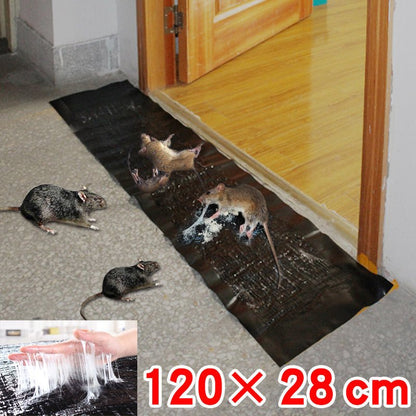 Humane Mouse Trap for Home Pest Control