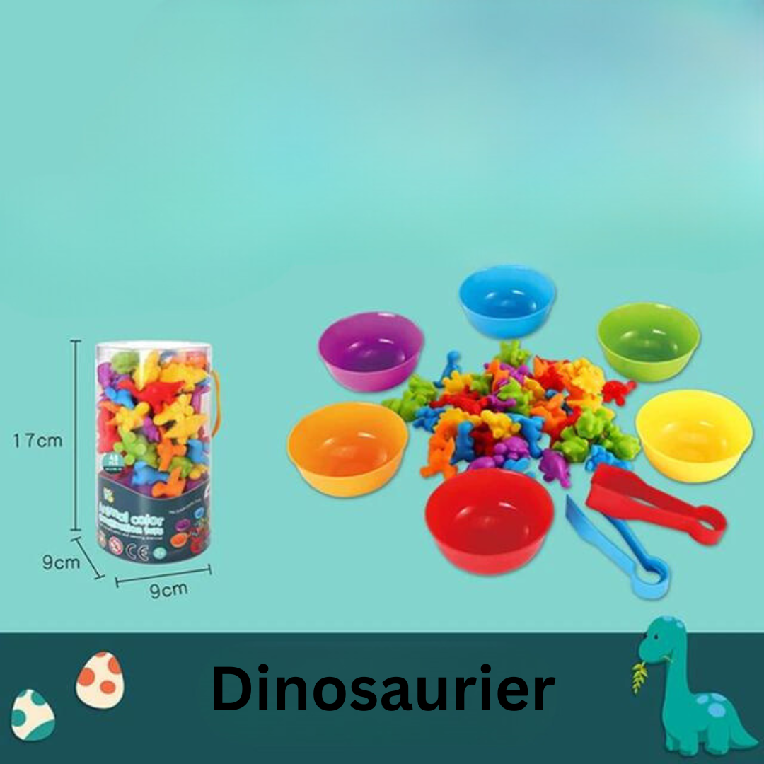 Educational Color Sorting Toy