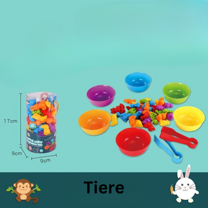 Educational Color Sorting Toy