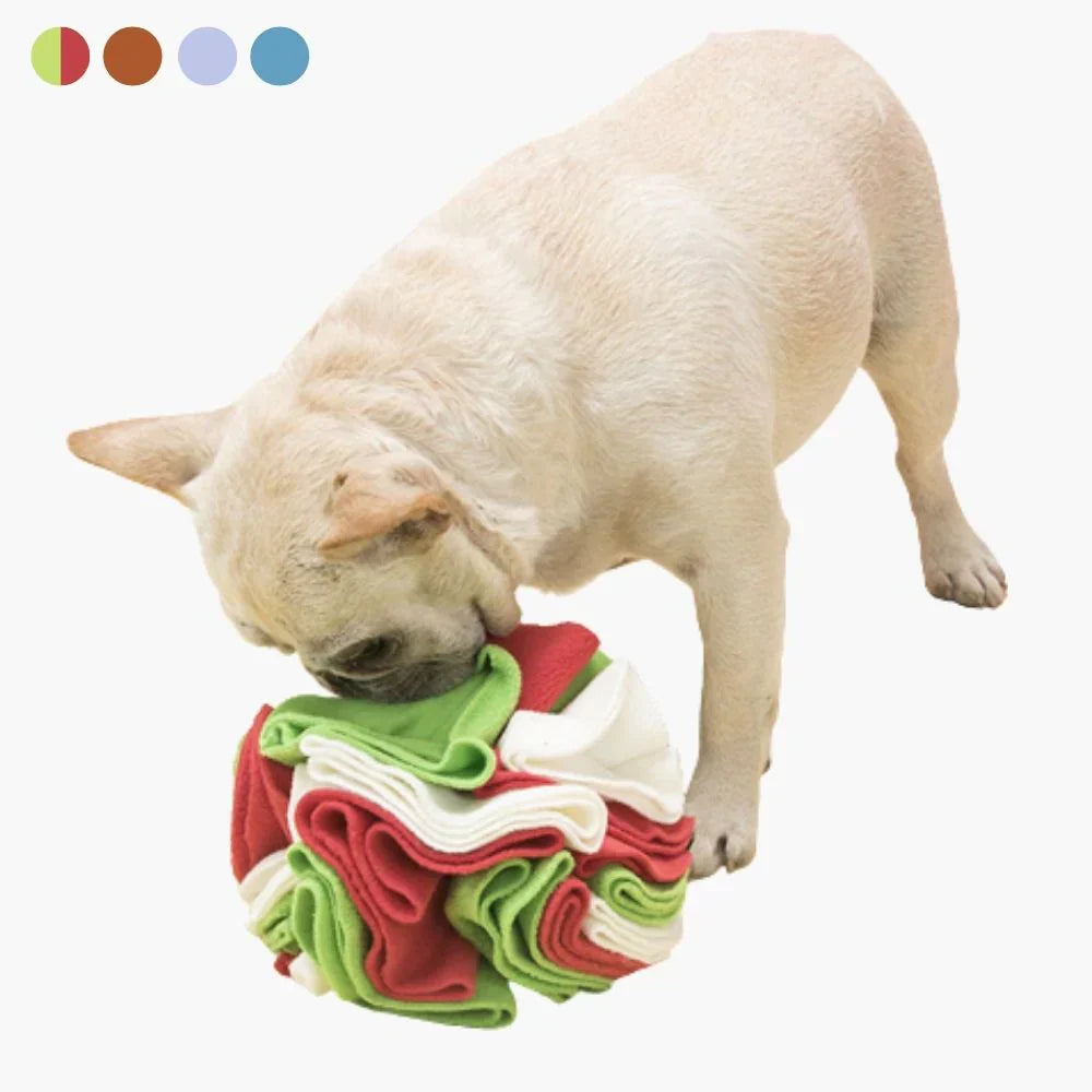 Fun Scented Ball Toy for Dogs - Befez
