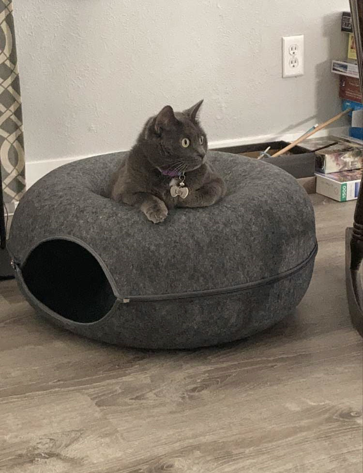 Cozy Cat Tunnel with Plush Sleeping Area