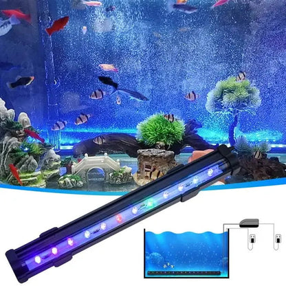Colorful LED Aquarium Air Bubble Lamp - Befez