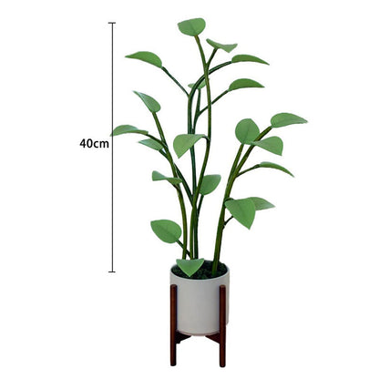 Colorful LED Blossom Plant Light