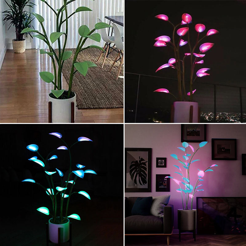 Colorful LED Blossom Plant Light - Befez