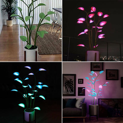 Colorful LED Blossom Plant Light - Befez