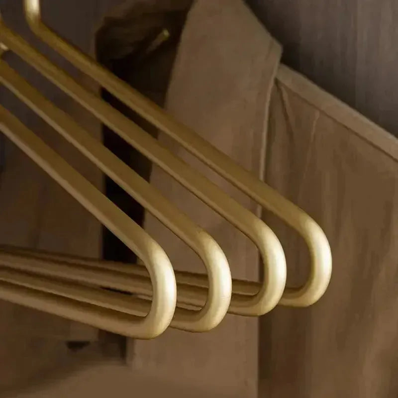 Premium Suit Velvet Hanger Set of 5
