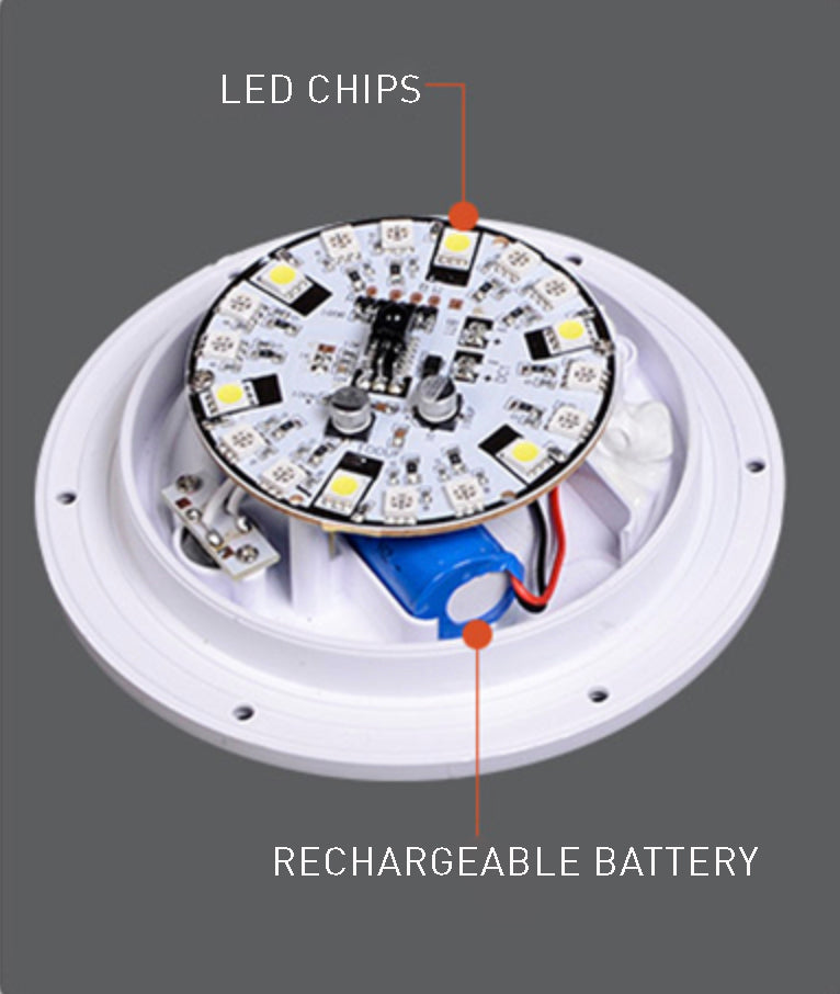 Portable LED Desk Lamp